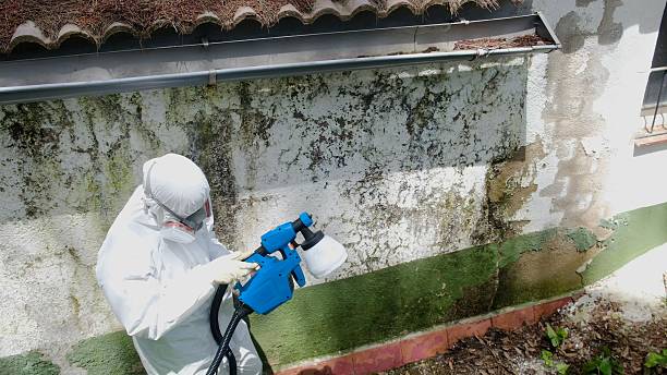 Mold Remediation service in Georgetown, Georgetown, PA